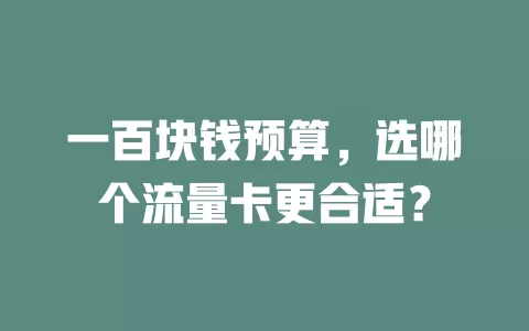 一百块钱预算，选哪个流量卡更合适？