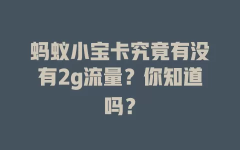 蚂蚁小宝卡究竟有没有2g流量？你知道吗？