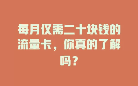 每月仅需二十块钱的流量卡，你真的了解吗？