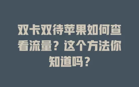双卡双待苹果如何查看流量？这个方法你知道吗？