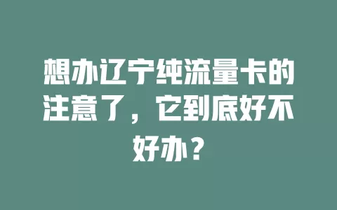想办辽宁纯流量卡的注意了，它到底好不好办？
