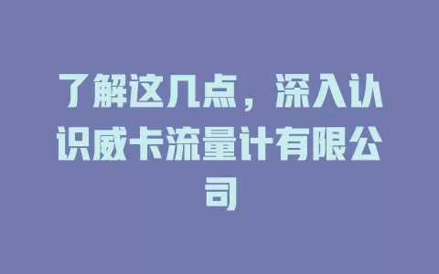了解这几点，深入认识威卡流量计有限公司
