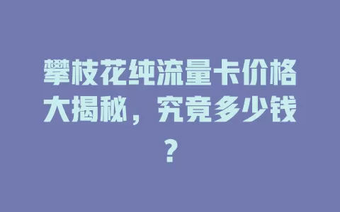 攀枝花纯流量卡价格大揭秘，究竟多少钱？