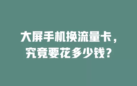 大屏手机换流量卡，究竟要花多少钱？