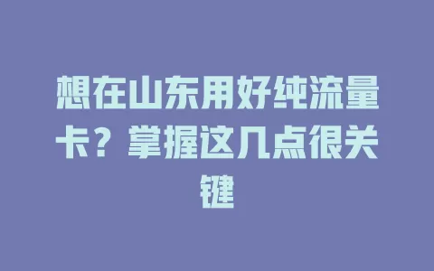 想在山东用好纯流量卡？掌握这几点很关键
