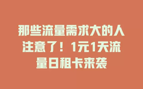 那些流量需求大的人注意了！1元1天流量日租卡来袭