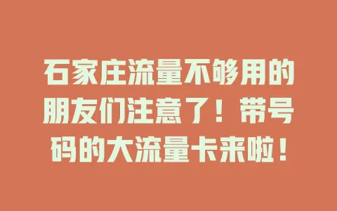 石家庄流量不够用的朋友们注意了！带号码的大流量卡来啦！