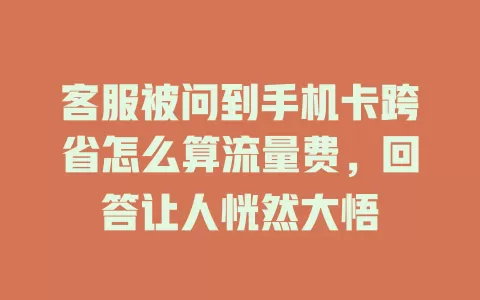 客服被问到手机卡跨省怎么算流量费，回答让人恍然大悟