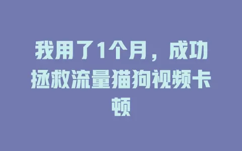 我用了1个月，成功拯救流量猫狗视频卡顿