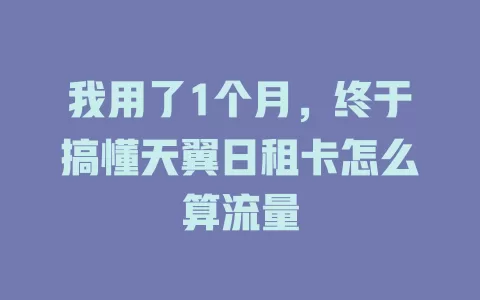 我用了1个月，终于搞懂天翼日租卡怎么算流量