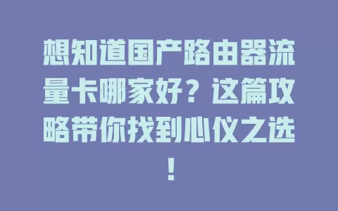 想知道国产路由器流量卡哪家好？这篇攻略带你找到心仪之选！