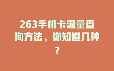 263手机卡流量查询方法，你知道几种？