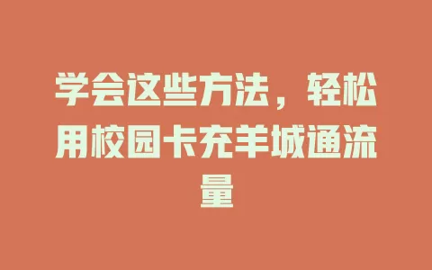 学会这些方法，轻松用校园卡充羊城通流量