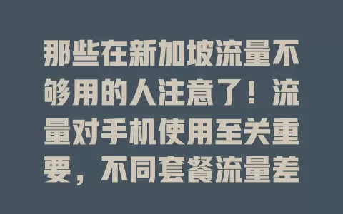 那些在新加坡流量不够用的人注意了！流量对手机使用至关重要，不同套餐流量差异大，选卡要按需挑额度，了解相关情况，网络生活才更畅快