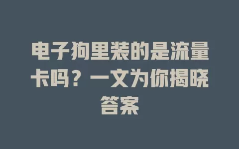 电子狗里装的是流量卡吗？一文为你揭晓答案