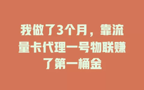 我做了3个月，靠流量卡代理一号物联赚了第一桶金