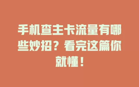 手机查主卡流量有哪些妙招？看完这篇你就懂！