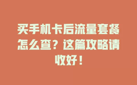 买手机卡后流量套餐怎么查？这篇攻略请收好！