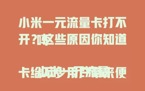 小米一元流量卡打不开？这些原因你知道吗

小米一元流量卡给不少用户带来便利，可有时会遇到打不开的情况。是设置不对，还是卡出了问题？咱们一起来找找原因。