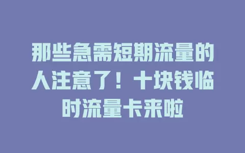那些急需短期流量的人注意了！十块钱临时流量卡来啦