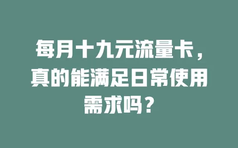 每月十九元流量卡，真的能满足日常使用需求吗？