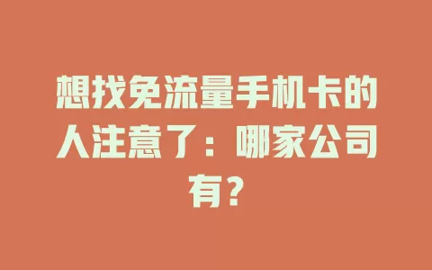 想找免流量手机卡的人注意了：哪家公司有？