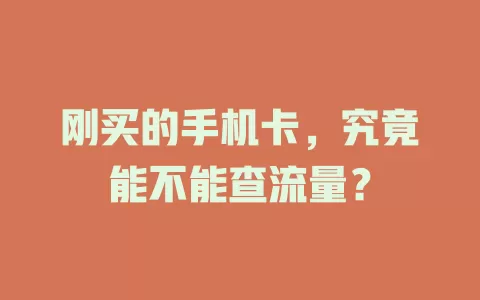 刚买的手机卡，究竟能不能查流量？