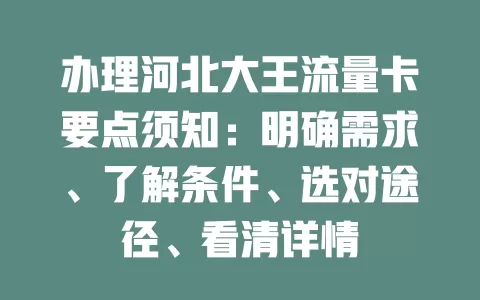 办理河北大王流量卡要点须知：明确需求、了解条件、选对途径、看清详情