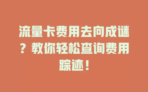 流量卡费用去向成谜？教你轻松查询费用踪迹！