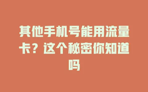 其他手机号能用流量卡？这个秘密你知道吗