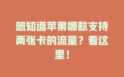 想知道苹果哪款支持两张卡的流量？看这里！