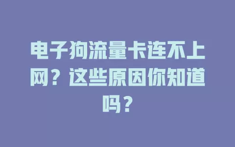 电子狗流量卡连不上网？这些原因你知道吗？