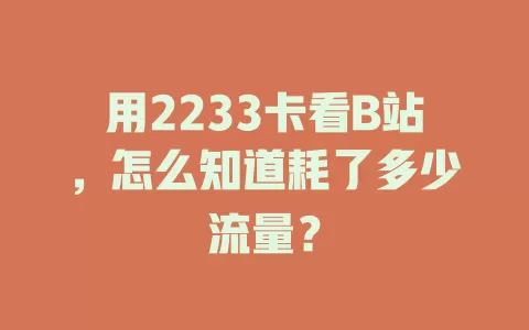 用2233卡看B站，怎么知道耗了多少流量？