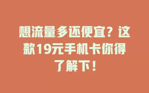 想流量多还便宜？这款19元手机卡你得了解下！