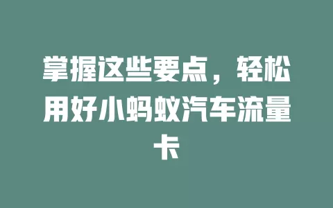 掌握这些要点，轻松用好小蚂蚁汽车流量卡