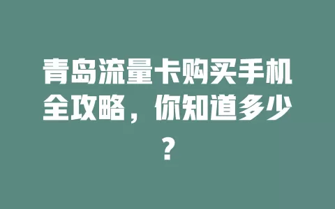 青岛流量卡购买手机全攻略，你知道多少？