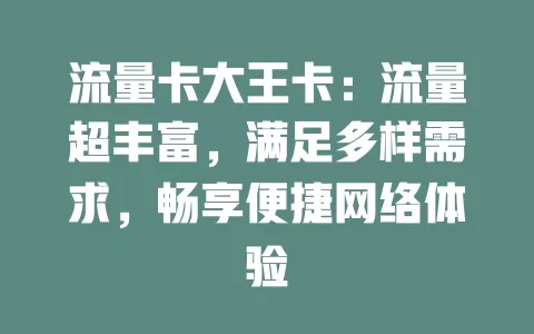 流量卡大王卡：流量超丰富，满足多样需求，畅享便捷网络体验