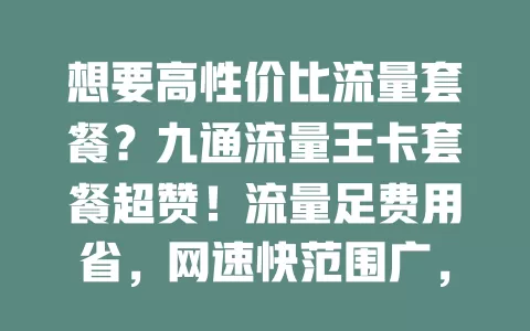 想要高性价比流量套餐？九通流量王卡套餐超赞！流量足费用省，网速快范围广，服务贴心，值得考虑！