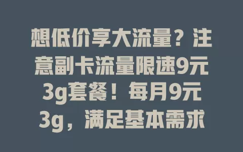 想低价享大流量？注意副卡流量限速9元3g套餐！每月9元3g，满足基本需求，有流量限速，还能灵活调整，超实用！