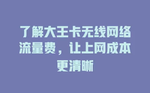 了解大王卡无线网络流量费，让上网成本更清晰
