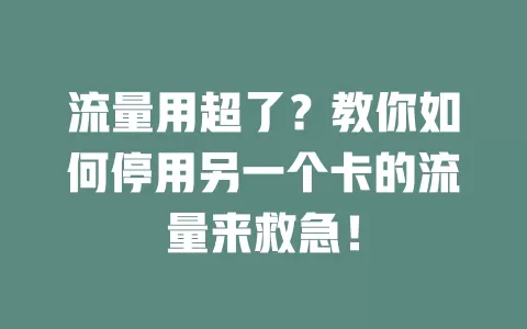 流量用超了？教你如何停用另一个卡的流量来救急！