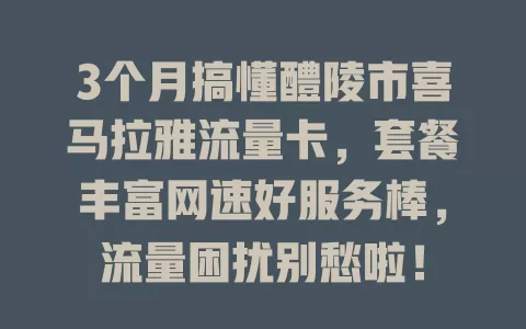 3个月搞懂醴陵市喜马拉雅流量卡，套餐丰富网速好服务棒，流量困扰别愁啦！