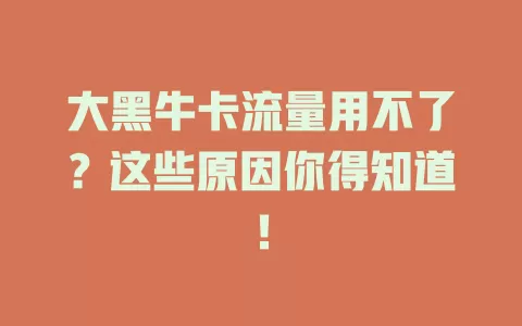大黑牛卡流量用不了？这些原因你得知道！