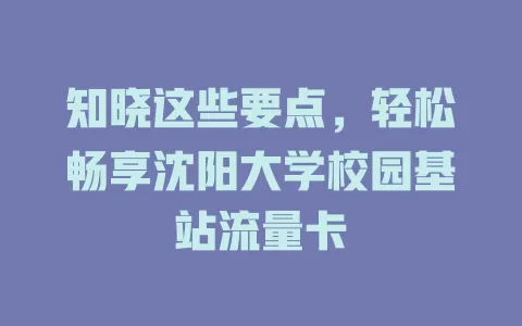 知晓这些要点，轻松畅享沈阳大学校园基站流量卡