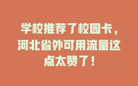 学校推荐了校园卡，河北省外可用流量这点太赞了！