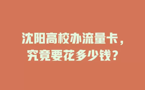 沈阳高校办流量卡，究竟要花多少钱？