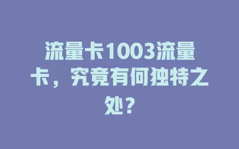 流量卡1003流量卡，究竟有何独特之处？