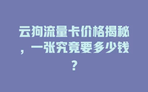 云狗流量卡价格揭秘，一张究竟要多少钱？