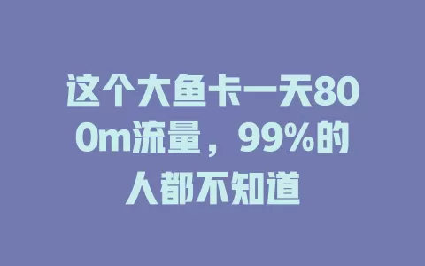 这个大鱼卡一天800m流量，99%的人都不知道