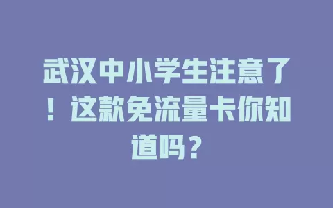 武汉中小学生注意了！这款免流量卡你知道吗？